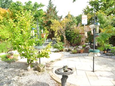 Picture 21